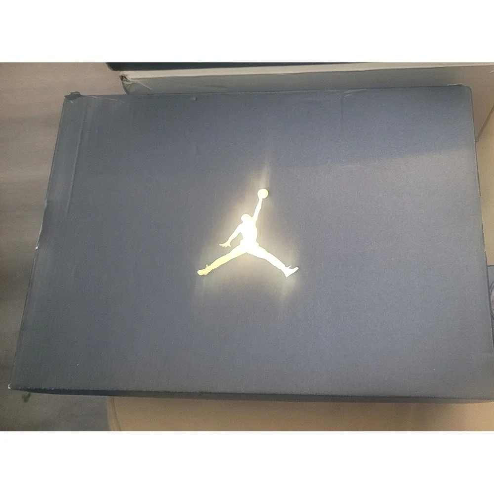 Jordan true flight